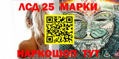 индика Заволжье