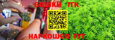 индика Заволжье