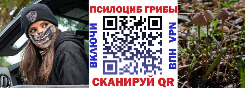 Галлюциногенные грибы Psilocybine cubensis  купить наркоту  Югорск 