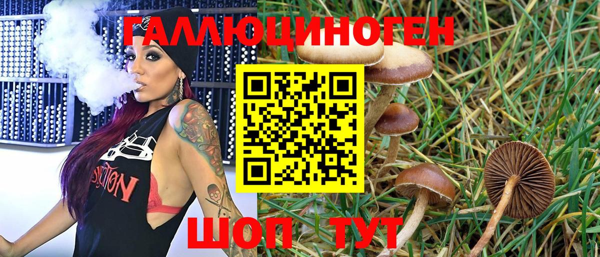 Галлюциногенные грибы ЛСД  Югорск 