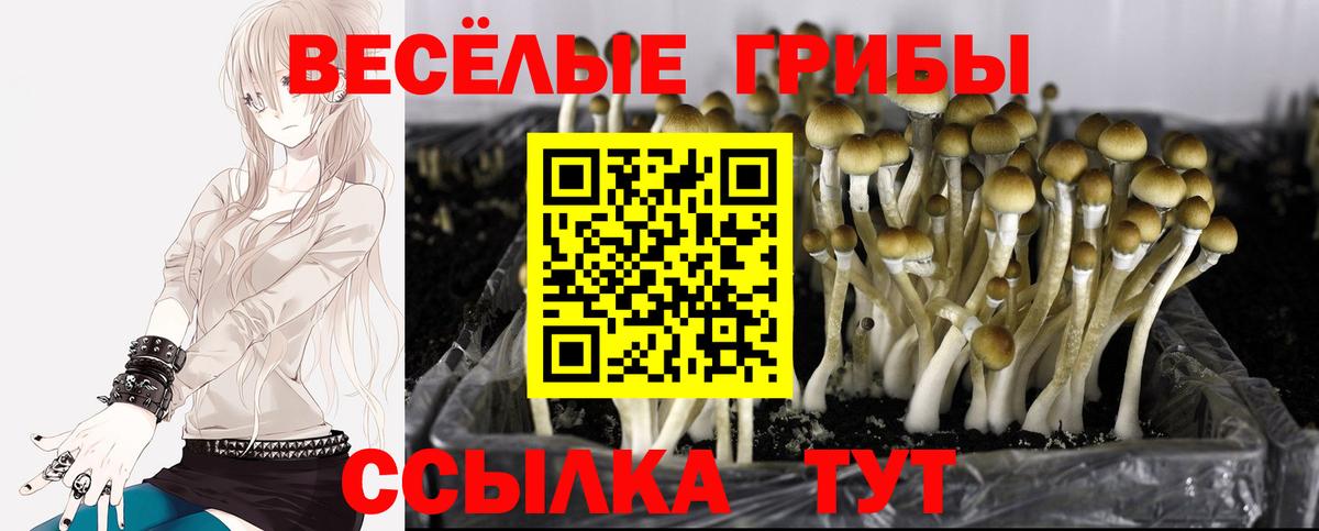 Галлюциногенные грибы прущие грибы Югорск